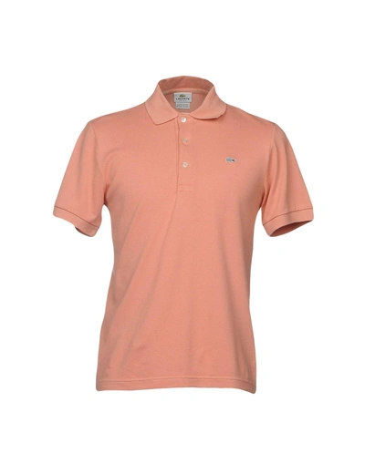 Shop Lacoste Polo Shirt In Skin Color