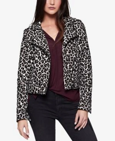 Shop Sanctuary Animal-print Moto Jacket In Leopard