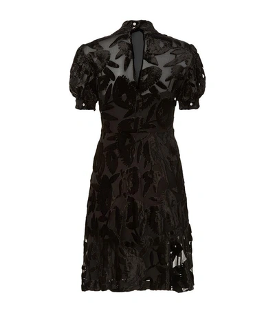 Shop Mcq By Alexander Mcqueen Velvet Floral Mini Dress In Black