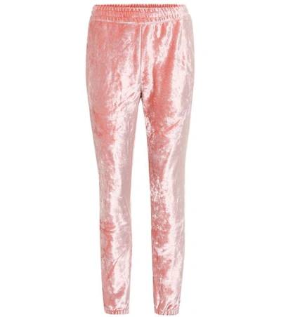 Shop Nike Lab Velour Trackpants In Pink