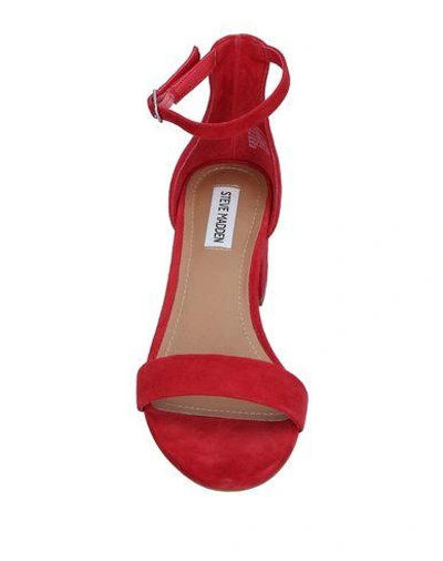 Shop Steve Madden Woman Sandals Red Size 6.5 Leather