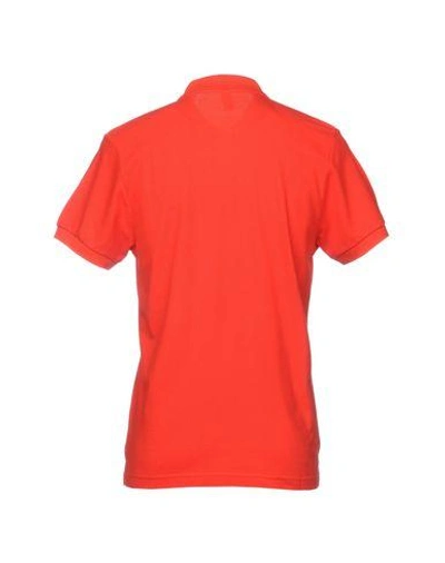 Shop Moschino Swim Moschino Man Polo Shirt Red Size Xxl Cotton