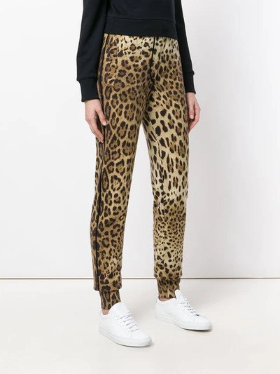 Shop Dolce & Gabbana Leopard Print Track Pants In Brown