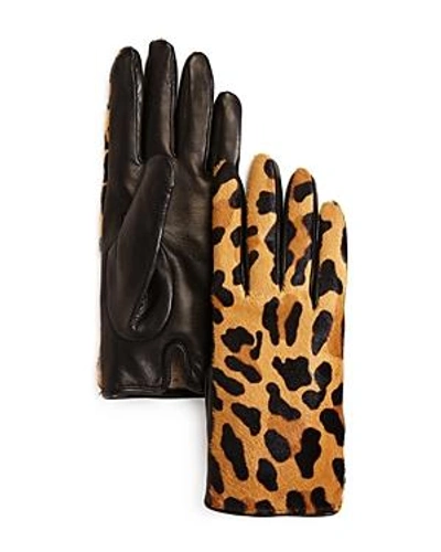 Shop Bloomingdale's Leopard Cashmere & Calf Hair Gloves - 100% Exclusive In Black Leopard
