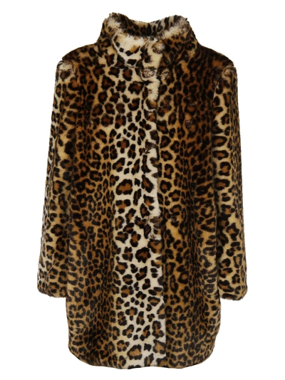 Shop Blugirl Leopard High Neck Coat In Multicolored