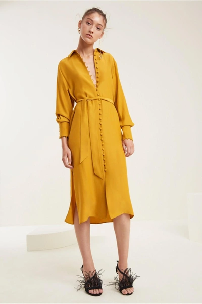 Shop C/meo Collective Substance Dress In Marigold