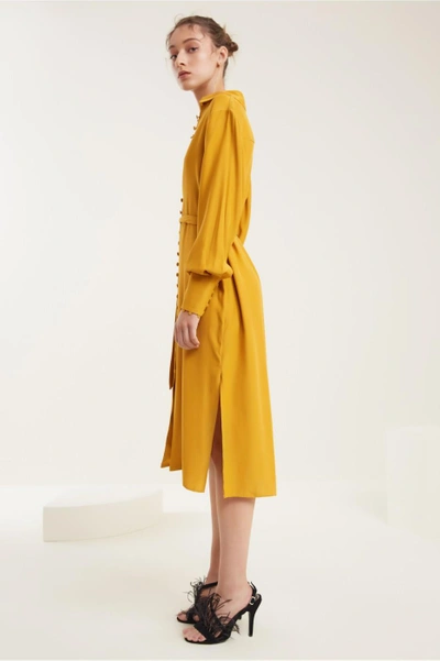 Shop C/meo Collective Substance Dress In Marigold