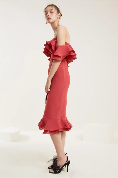 Shop C/meo Collective Immerse Midi Dress In Rose