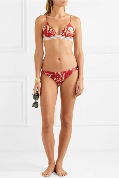 Shop Zimmermann Corsair Floral-print Triangle Bikini Top In Red