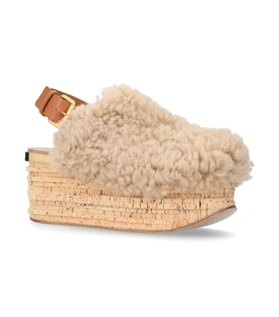 Shop Chloé Camille Wedge Mule In Pink