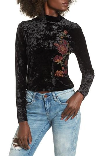 Shop Band Of Gypsies Embroidered Velvet Crop Top In Black Raspberry