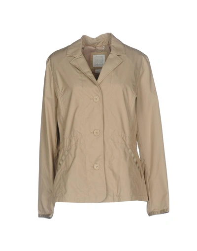 Shop Geox Woman Jacket Beige Size 10 Polyester, Polyamide, Thermore