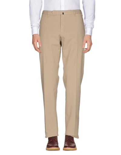 Shop Incotex Man Pants Beige Size 38 Cotton, Elastane