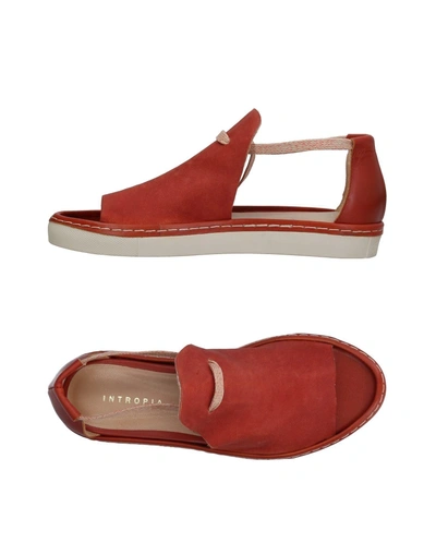 Shop Intropia Sandals In Brick Red