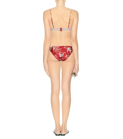 Shop Zimmermann Corsair Floral Bikini Top In Red