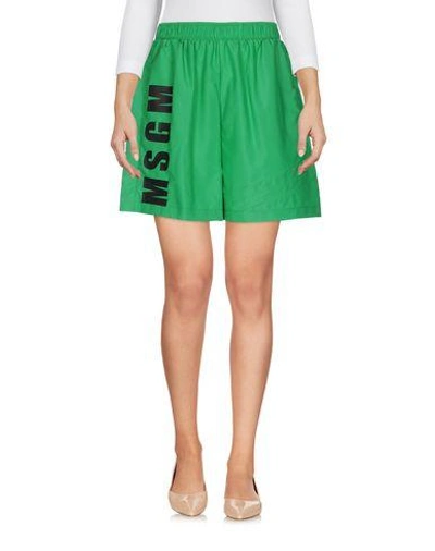Shop Msgm Shorts & Bermuda In Green