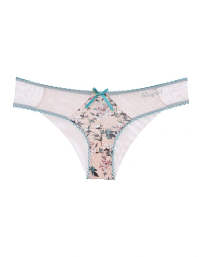 Blugirl Blumarine Underwear In Pink | ModeSens