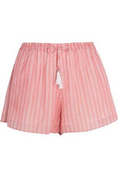 Shop Zimmermann Woman Roza Striped Cotton-voile Shorts Pink
