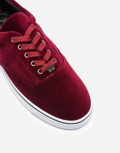 Shop Dolce & Gabbana Sneakers In Velvet In Bordeaux