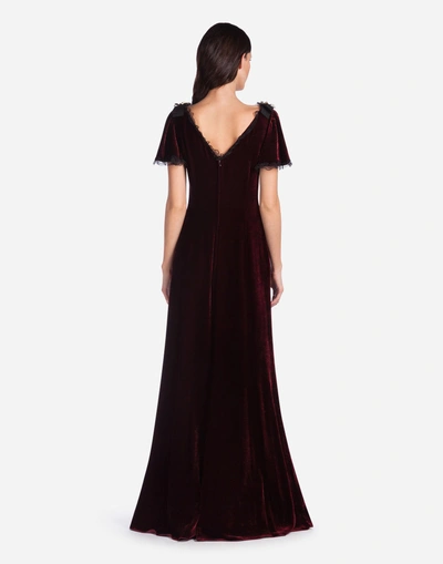 Shop Dolce & Gabbana Long Velvet Dress In Bordeaux