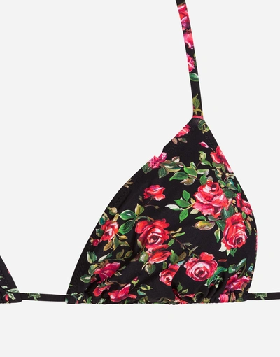 Shop Dolce & Gabbana Triangle Bikini Top In Multicolor