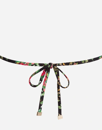 Shop Dolce & Gabbana Triangle Bikini Top In Multicolor