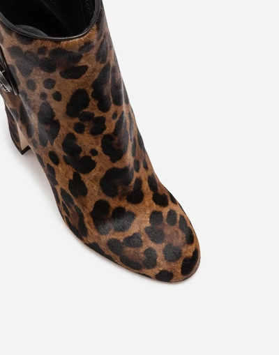 Shop Dolce & Gabbana Leopard Print Calf Hair Ankle Boots In Leo Print
