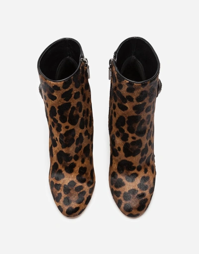 Shop Dolce & Gabbana Leopard Print Calf Hair Ankle Boots In Leo Print