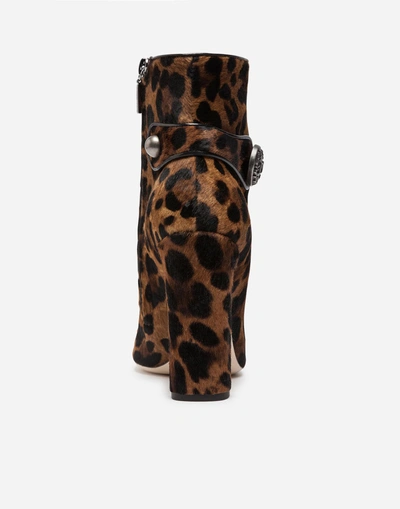 Shop Dolce & Gabbana Leopard Print Calf Hair Ankle Boots In Leo Print