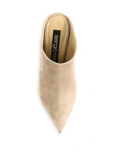 Shop Sergio Rossi Godiva Suede Mules In Taupe