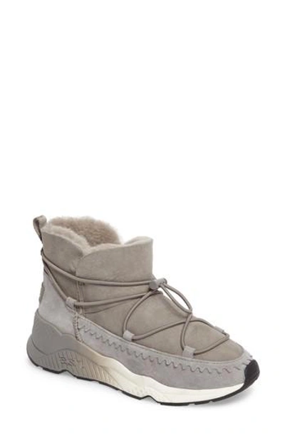 Shop Ash Mitsouko Genuine Shearling Sneaker In Flanelle Leather