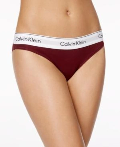 Shop Calvin Klein Modern Cotton Logo Bikini F3787 In Brazen