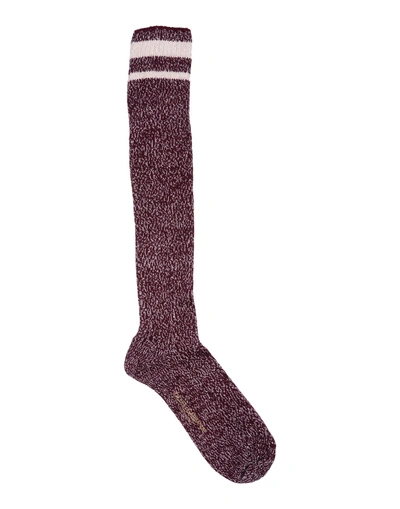 Shop Dolce & Gabbana Short Socks In Maroon