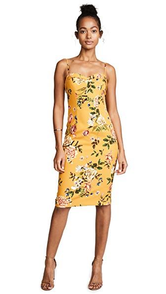 black halo clover dress