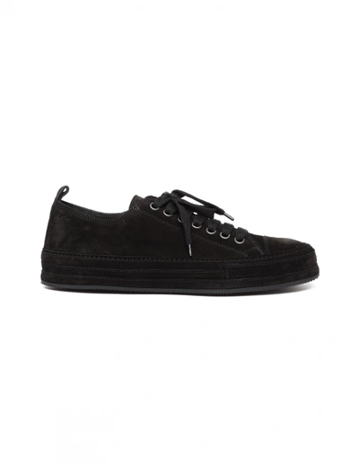 Shop Ann Demeulemeester Low-top Suede Sneakers In Black