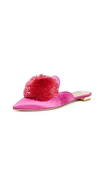 Shop Aquazzura Powder Puff Flats In Azalea Pink