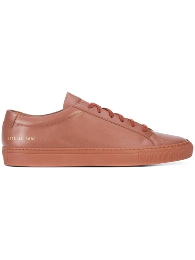 Shop Common Projects Low Duo-tone Sneakers