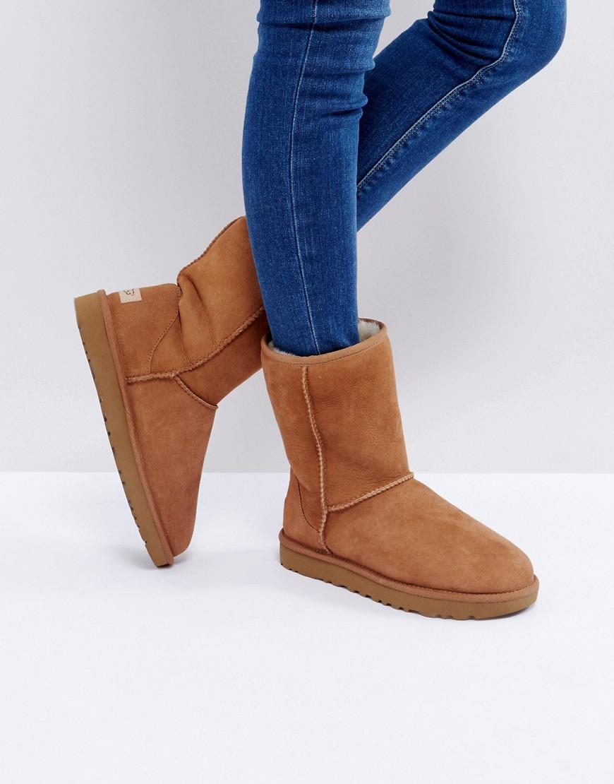 chestnut uggs short