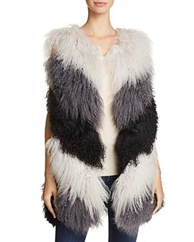 Shop Jocelyn Tibetan Lamb Fur Vest - 100% Exclusive In Gray Multi
