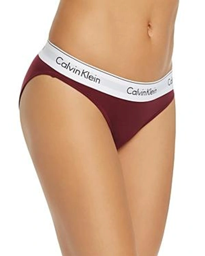 Shop Calvin Klein Modern Cotton Bikini In Brazen