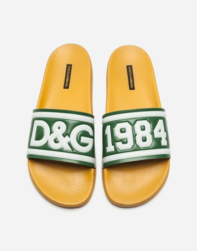 Shop Dolce & Gabbana Slippers In Printed Rubber And Calfskin In Green/yellow