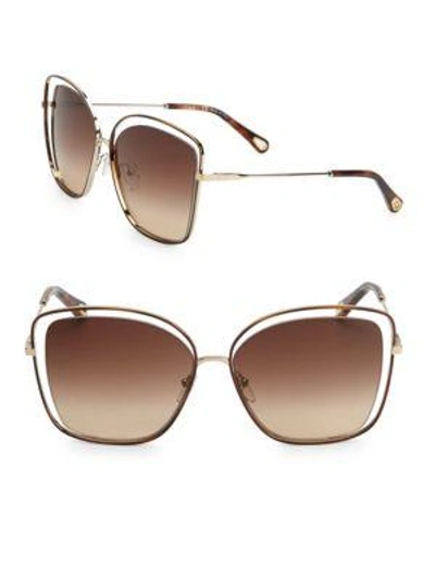 Shop Chloé Poppy Butterfly Sunglasses In Havana Brown