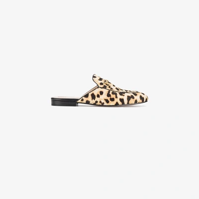 Shop Gucci Princetown Leopard Calf Hair Slipper