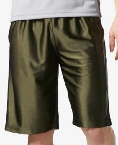 Adidas dazzle shorts sales