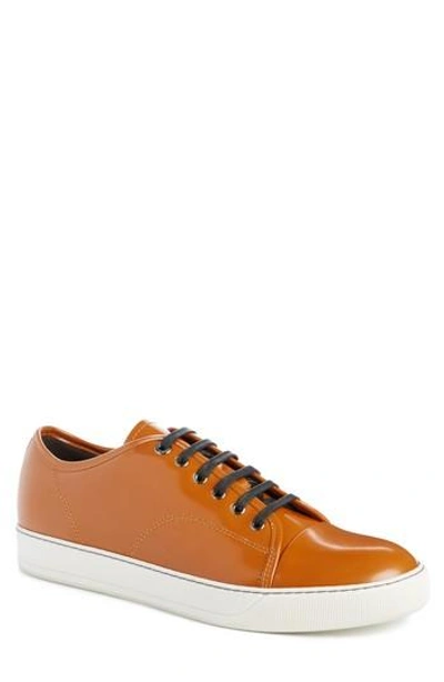 Shop Lanvin Low Top Sneaker In Ginger Leather