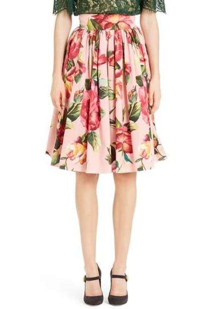Shop Dolce & Gabbana Rose Print Poplin Skirt