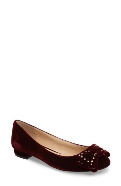 Shop Vince Camuto Annaley Flat In Wine Velvet