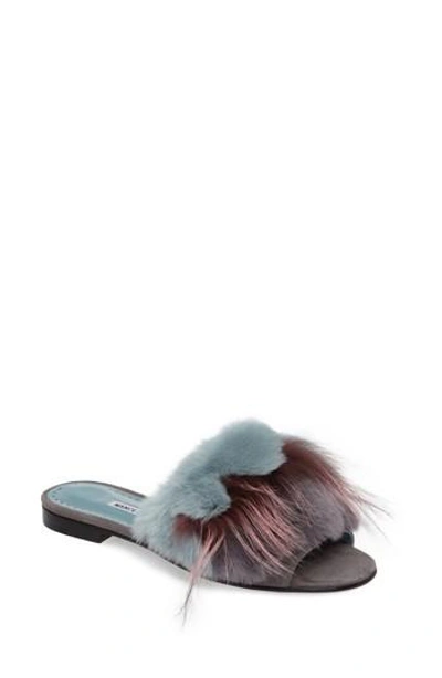 Shop Manolo Blahnik Pelosusrafo Genuine Rabbit & Fox Fur Slide Sandal In Grey Multi