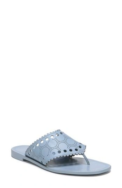 Shop Diane Von Furstenberg Ekati Thong Sandal In Slate Blue