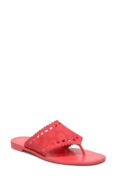 Shop Diane Von Furstenberg Ekati Thong Sandal In Vintage Pink